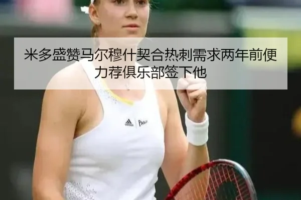 米多盛赞马尔穆什契合热刺需求两年前便力荐俱乐部签下他